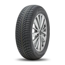 Roadstone Winguard SnowG WH2 215/55R16 93H